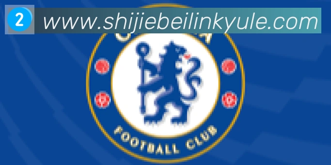 阿根廷世界杯买球入口合作伙伴